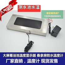 Stainless steel enclosure bath large screen digital thermometer 290 * 137MM swimming pool bathroom water temperature meter digital display 220