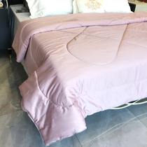 Winter thick warm 100% white camel is brand tail single quilt winter quilt double quilt core autumn and winter high-grade