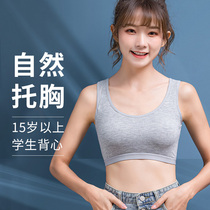 Underwear women without steel ring vest type breast bra bra junior high school students 14 years old 16 girls sports 18 Gray