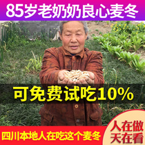 Grandmas premium wheat winter 500g grams authentic wild soaked Chinese herbal medicine tea sand ginseng jade bamboo Mendonça