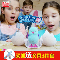Smart creative thinking my little pet surprise hatching chicken toys will be called moving simulation plush electric voice pet