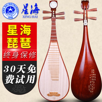 Pipa musical instrument Xinghai 8913 Pipa musical instrument professional mahogany polished pipa professional performance examination pipa