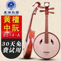 Beijing Xinghai 8514-A Zhongruan Austenitic sandalwood Zhongruan musical instrument steel Austenitic sandalwood wood official authorization