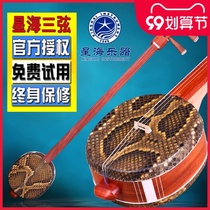 Beijing Xinghai Sanxian 8302 Rosewood Sanxian Musical Instrument Ethnic plucked Musical Instrument Large Small Sanxian
