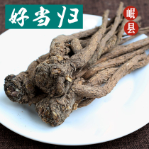 Gansu Minxian County angelica head 500g g Quan Guitou pot chicken soup Chinese Herbal medicine Whole astragalus slice Dang Shen soak water