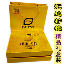 Chongqing Tongnan specialty Huida Lemon Leisure Snacks Lemon Instant Tablets Freeze-dried Tablets Honey Tea Honey Tea Gift Boxes