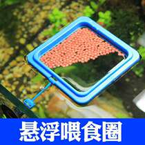 Turtle automatic feeder timing feeder fish tank smart feeder small aquarium feeding fish turtle artifact