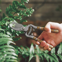 Its very expensive and very good. Pure export of the cargo of water Willow pruning shears gardening tools branches and scissors