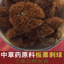 Chinese herbal medicine raw material 1kg chestnut with Thorn ball shell wind chestnut shell needle plate dried Qianxi chestnut hair ball
