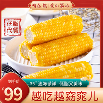 Northeast corn non-GMO healthy nutrition sweet waxy fresh yellow glutinous corn cob coarse grain yellow Xiaoyao children 12 packs