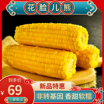 Northeast origin organic non-GMO fresh waxy fragrant corn flower face bear nutritious breakfast whole grain 10 sticks
