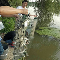 Arc Moon Platform 0-5-2 finger-eye adhesive mesh Three-layer fishing net fishing silk screen hanging subnet catch little white strips of fish Diao fish net