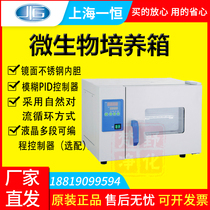 Shanghai Yiheng Microbial Incubator Laboratory (small)DHP-9011 DHP-9031 Natural convection