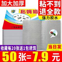 Melon Fruit Drosophila Attractant Lure to Kill Fruit Fly Drug God-Killer Insect Viscose Plate Sticky plate Sticky Fly plate