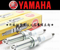 Yamaha XVS1300 VStar1300 Midnight Star Warrior Edition Special Japanese NGK Spark Plug