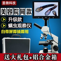 HD mite detector beauty salon test scalp mite instrument observation facial skin microscope portable