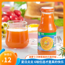 Shennai carrot juice Fruit and vegetable juice Xinjiang specialty original summer juice does not contain sea buckthorn juice Net red drink FCL