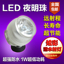 LED dragon fish light special fish tank night light fish tank diving light aquarium waterproof lighting aquatic grass light