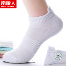 Short socks womens summer ultra-thin cotton low-top shallow mouth white socks sports waist non-slip mesh breathable boat socks