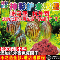 Colorful fairy fish food cow heart hamburger swallow fish Egyptian special feed handmade internal quarantine Special