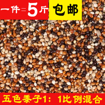 Pigeon food Parrot mixed food 5-color mixed millet millet medium and small parrot bird food feed tiger skin Xuanfeng peony