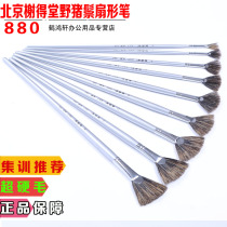 Elysees Hall 880 Wild Boar Mane Fish Tail Fan Pen Gouache Paint Fan Pen Fan Pen Fan Pen