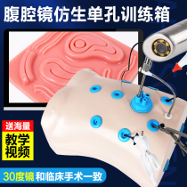 Laparoscopic Surgical Simulation Training Instruments Thoracoscopic Training Box Surgical Obstetrics and Gynecology Hysteroscopic Bionic Single-Hole Box