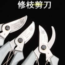 Garden Scissors Pruning Shears Pruning Flowers Grass and Fruit Tree Branches Cutting Fruit Branch Scissors Tough Shears Gardening Scissors