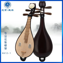 Rosewood fine-tuning Liuqin Beijing Xinghai Musical Instrument African Rosewood beginner entry professional examination playing bracket