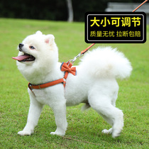 Teddy dog rope small canine winter adjustable dog traction rope puppies midsize dog boomey dog chain sub-dog leash