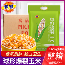 Warmly burst corn kernels spherical 45kg independent vacuum packaging 5 68*4 boxes of insect-proof and moisture-proof large packaging