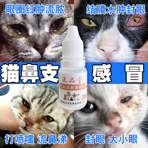 Cat nose branch eye drops cold sneezing pet dog runny nose cat eye drops conjunctivitis tears to tear