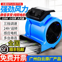 BF 531 floor blowing machine blowing machine mini household commercial toilet floor carpet hair dryer