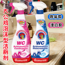 Italian Dagong chicken head toilet toilet cleaner foam type decontamination descaling deodorant scale toilet cleaner 625ml