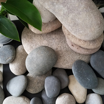 Natural tortoise drying stone pebbles oversized fish tank viewing stone tortoise drying table flat landscape climbing stone platform sun back table