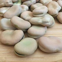 5 kg of fine new goods large grain raw dried broad beans specialty bulk hu bean raw broad bean farmer Buddha bean raw dried goods