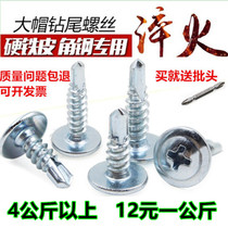 Zinc-plated large flat head drilling tail screw self-tapping self-drilling screw dovetail nail color steel tile iron sheet Self-work snail M4 2
