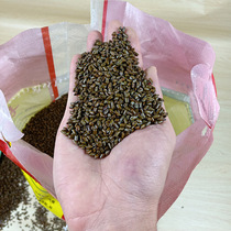 100kg cassia seed toy sand home batch hair bulk childrens playground sand pool for pillow core