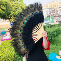 Chinese style classical bamboo wood fan black peacock feather fan hanging wall decoration fan palace drama prop fan large fan