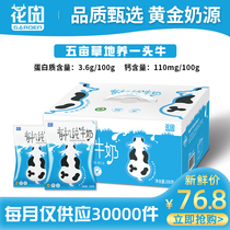 Xinjiang Garden Organic Leo Pillow Pure Milk 200g * 16 Bags Whole Box of Students Full Fat Milk Milk