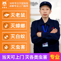Chengdu door-to-door derpest service professional in addition to cure capture rat cockroach termite pest extermination company Dingjin