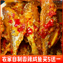 Jiangxi specialty spicy salty fish dried farmhouse homemade bottled canned snacks Ganzhou Yudu appetizer
