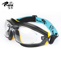 Rocca EF32 goggles dustproof anti-fog sand impact acid and alkali splash paint polished protective glasses