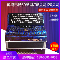 Parrot brand Bayan accordion 120 bass 96 bass 60 bass three or four rows of springs Exam performance Beginner Bayan