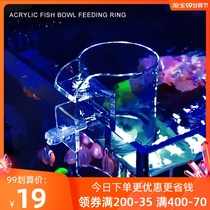 Fish tank feeder feeding ring acrylic fish feed feeding ring and hanging cylinder dual-purpose to prevent fish food from drifting