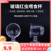 Fish tank aquarium glass feeder Red worm worm feed cup fish feed sucker transparent feed feed