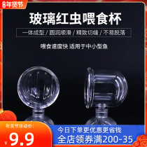Fish tank aquarium glass feeder red worm nematode Earthworm feeding cup fish food feed suction cup transparent feeder