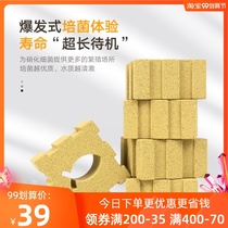 Baine fish tank filter material nitrifying bacteria House quartz ball hollow biochemical ball ceramic ring bacteria ball filter material