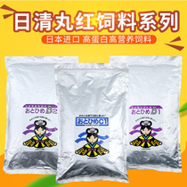 Japan Nissei Marubeni feed Peacock Mary Red Arrow fighting fish adult fish young fish fry open feed B1B2C1