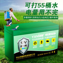 Lithium battery sprayer electric 12v agricultural sprayer special lithium battery backpack large capacity battery volt